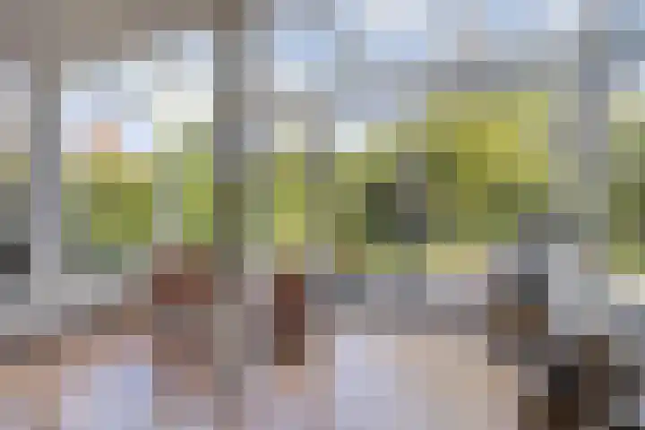 Eindhovenseweg 34 Steensel thumbnail 17