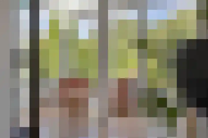 Eindhovenseweg 34 Steensel thumbnail 18