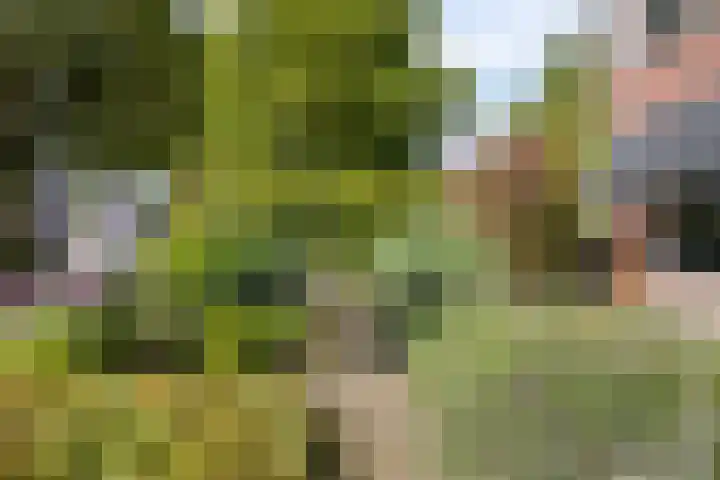 Eindhovenseweg 34 Steensel thumbnail 33