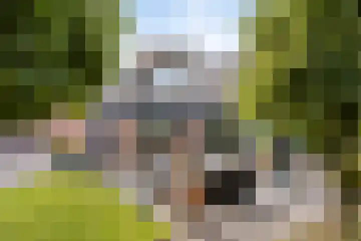 Eindhovenseweg 34 Steensel thumbnail 35