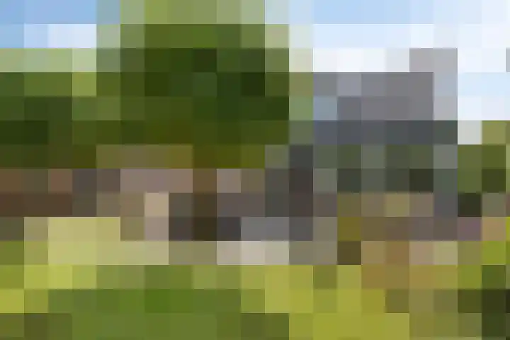 Eindhovenseweg 34 Steensel thumbnail 36