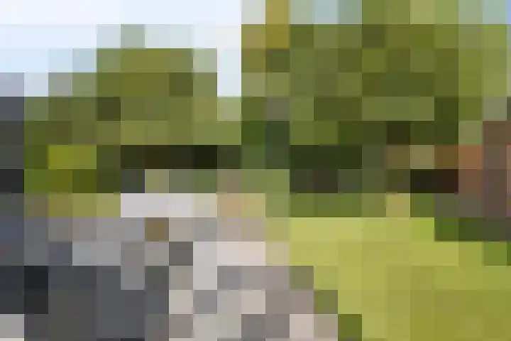 Eindhovenseweg 34 Steensel thumbnail 37