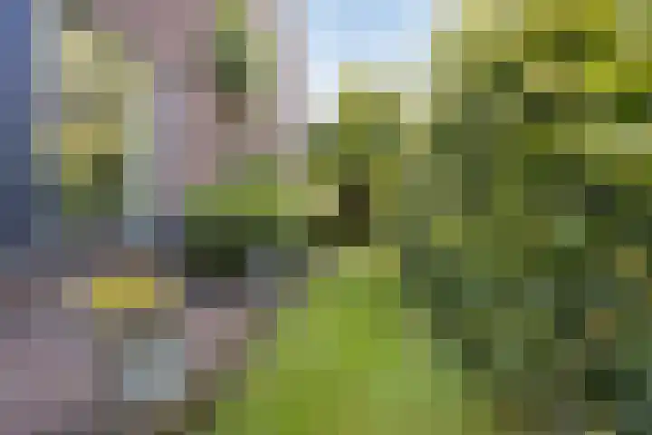 Eindhovenseweg 34 Steensel thumbnail 38