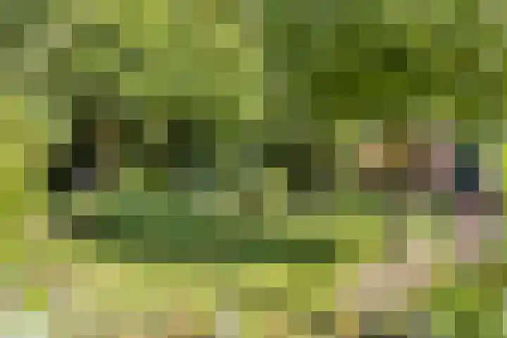 Eindhovenseweg 34 Steensel thumbnail 39