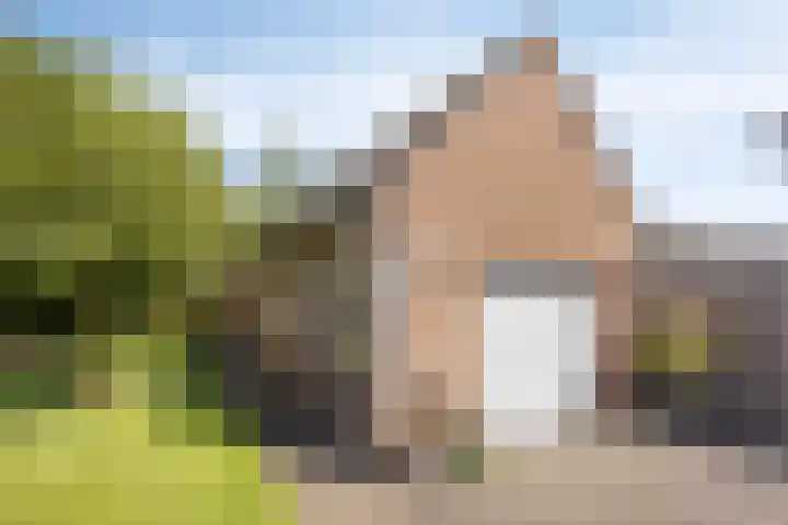 Eindhovenseweg 34 Steensel thumbnail 40