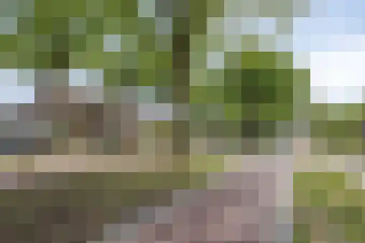 Eindhovenseweg 34 Steensel thumbnail 41