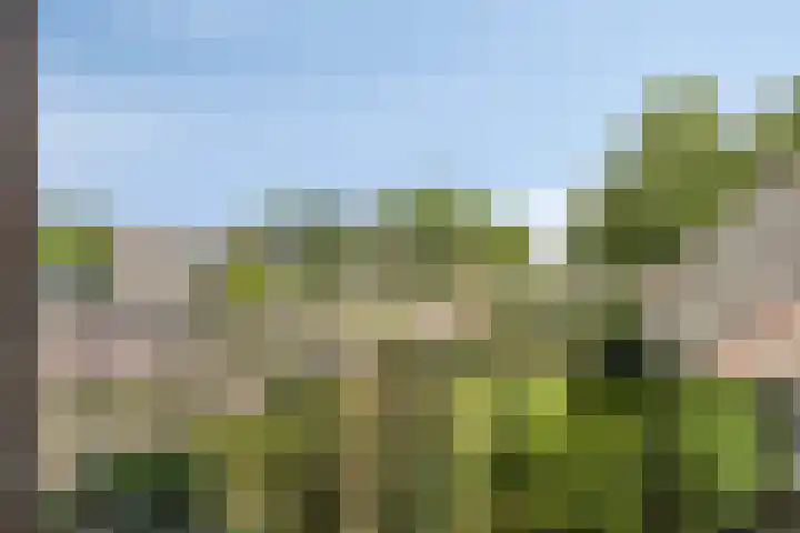 Eindhovenseweg 35 a Steensel thumbnail 24