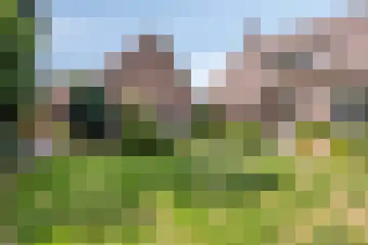 Eindhovenseweg 35 a Steensel thumbnail 37