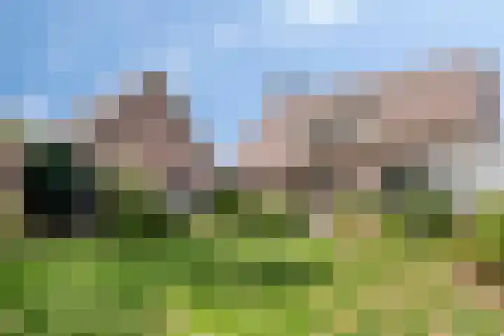 Eindhovenseweg 35 a Steensel thumbnail 4