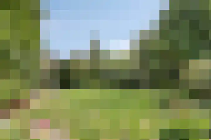 Eindhovenseweg 35 a Steensel thumbnail 40