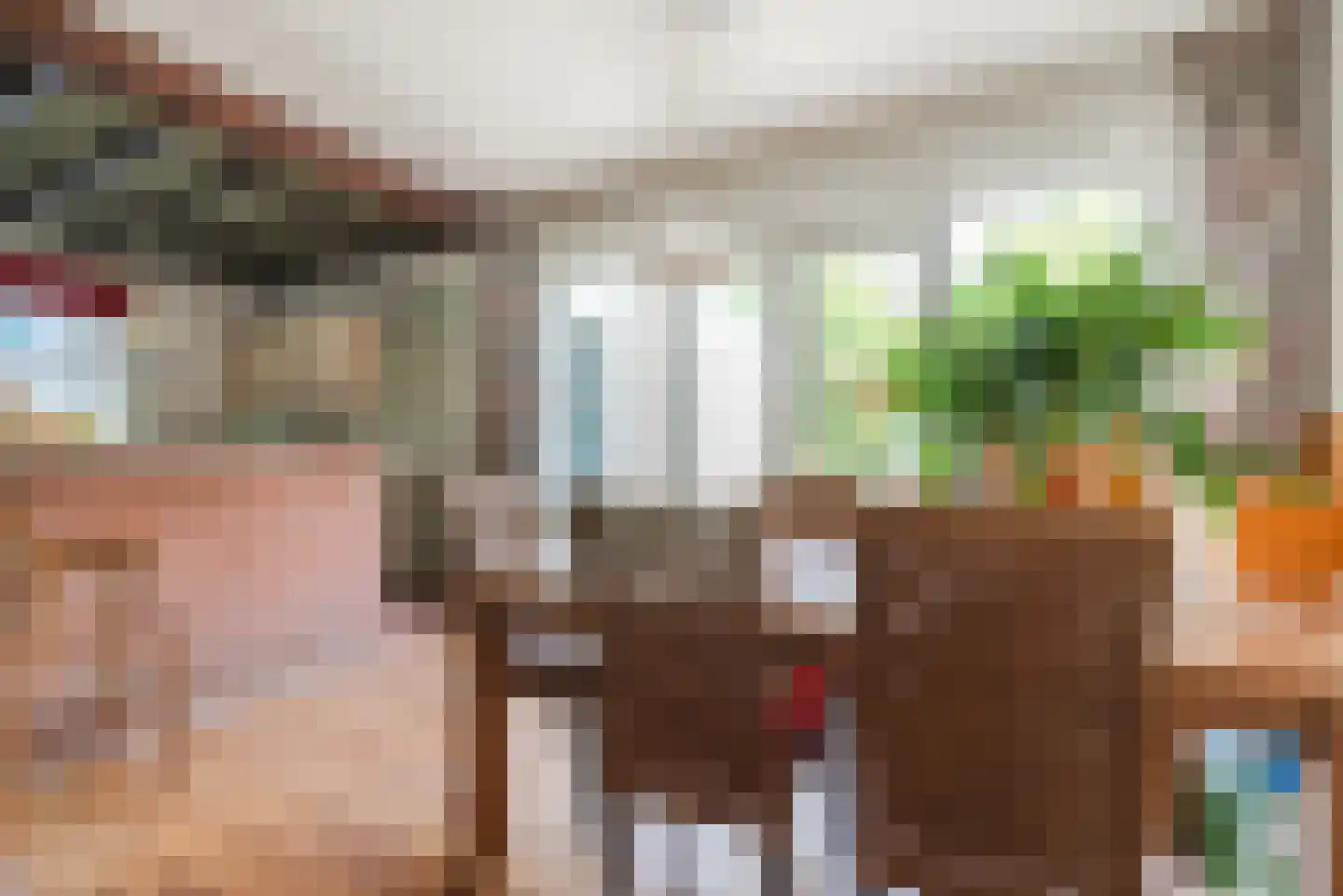 Eindhovenseweg 4 Geldrop thumbnail 12