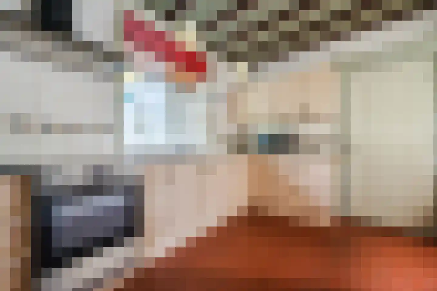 Eindhovenseweg 4 Geldrop thumbnail 13