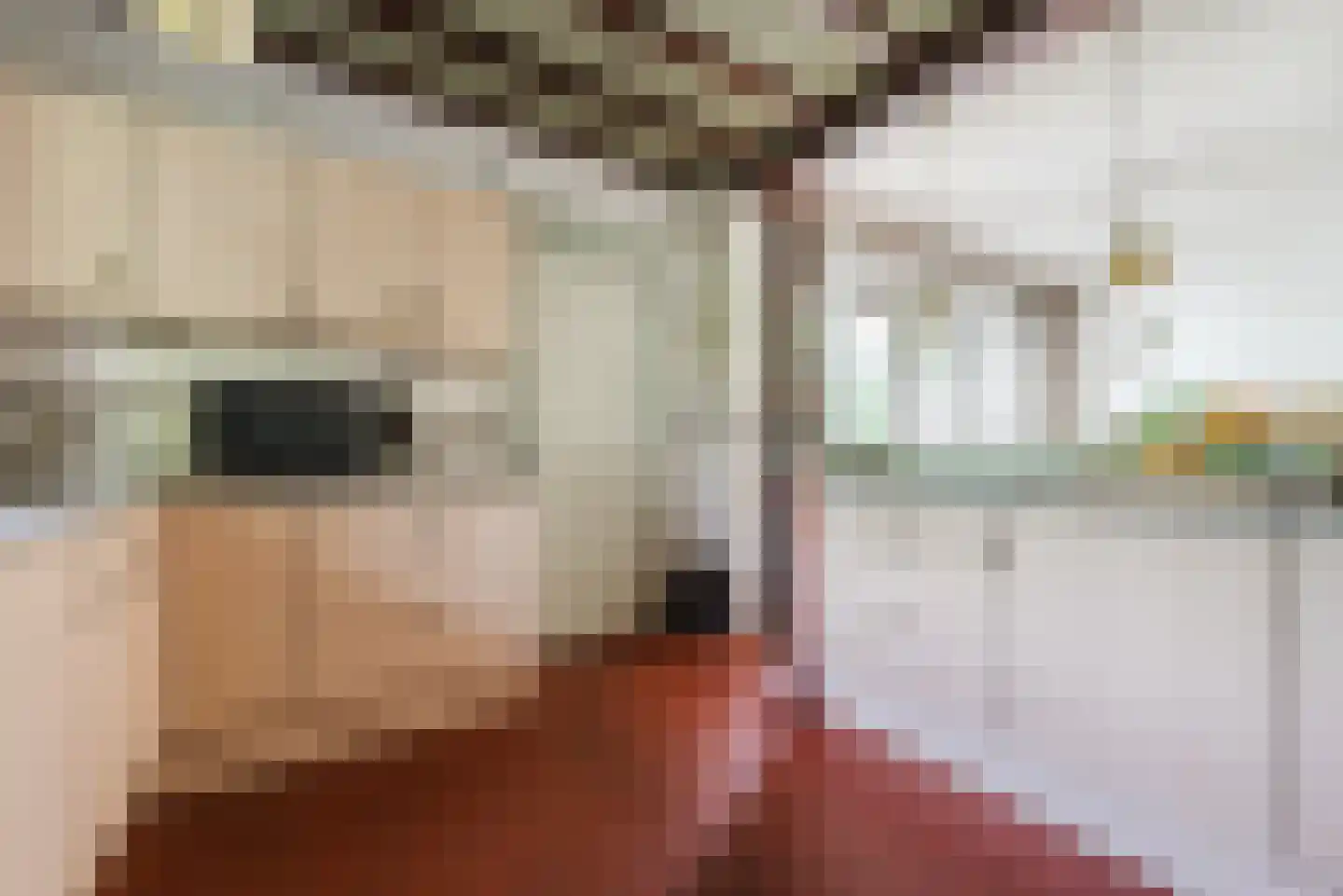 Eindhovenseweg 4 Geldrop thumbnail 14