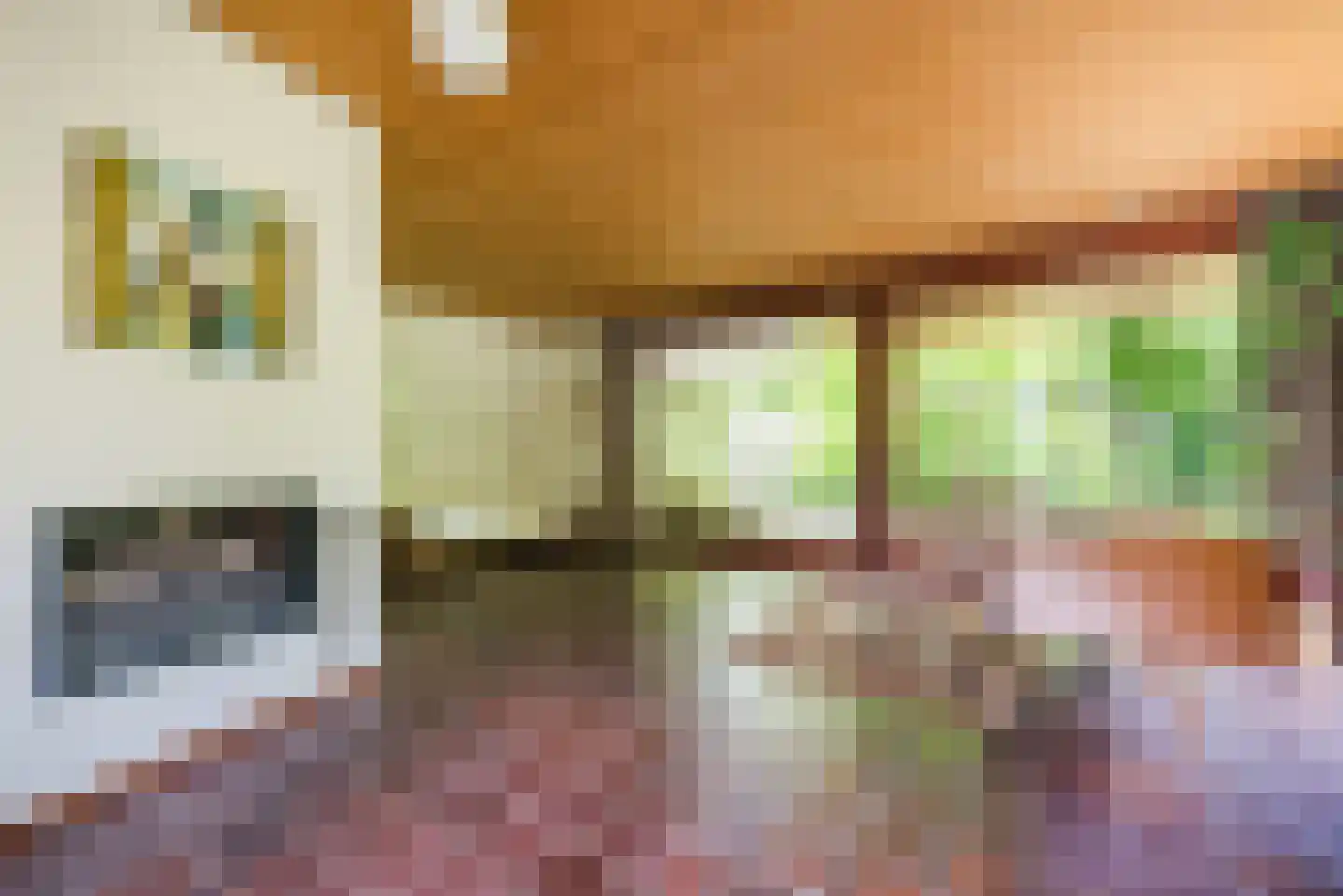 Eindhovenseweg 4 Geldrop thumbnail 16