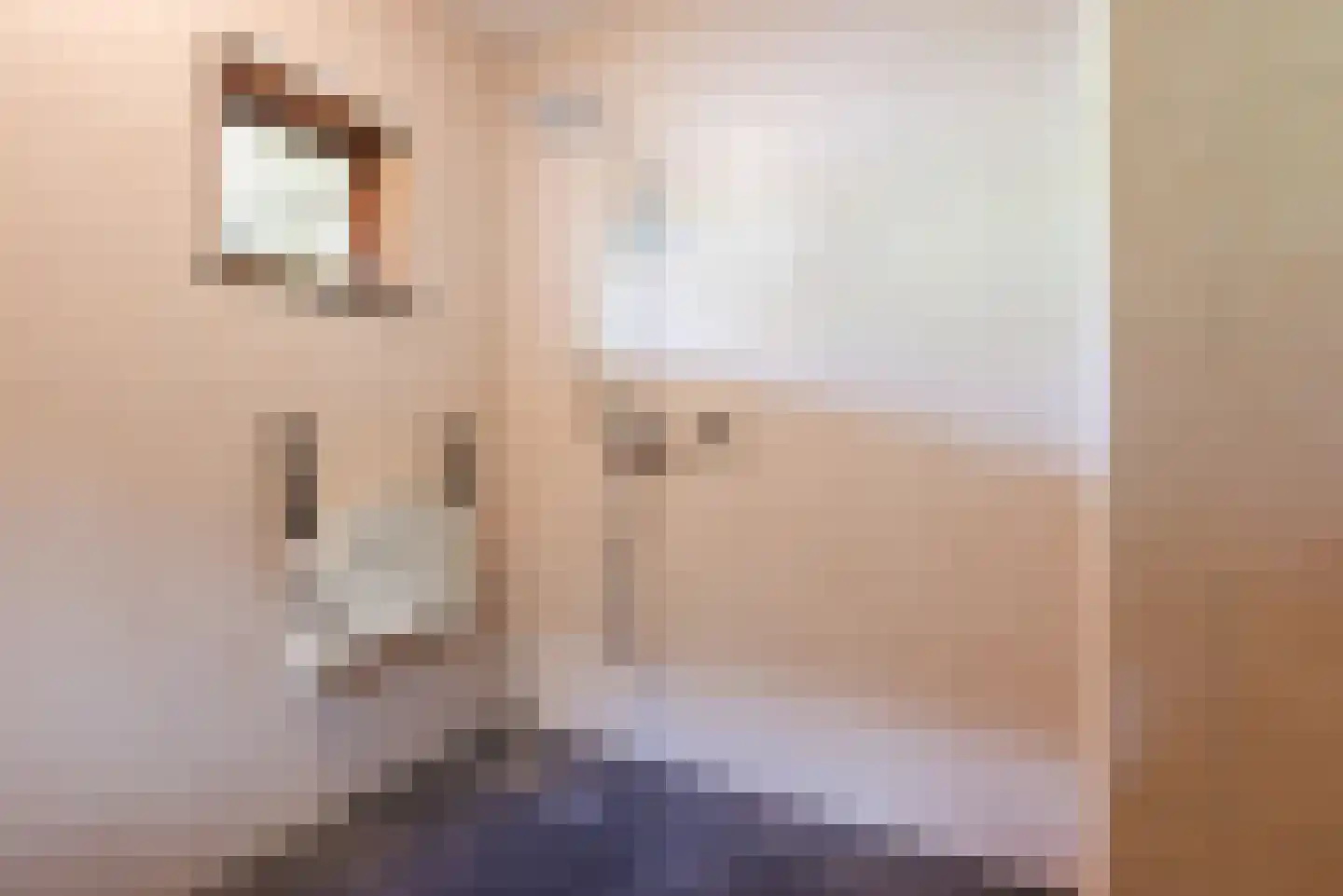 Eindhovenseweg 4 Geldrop thumbnail 18