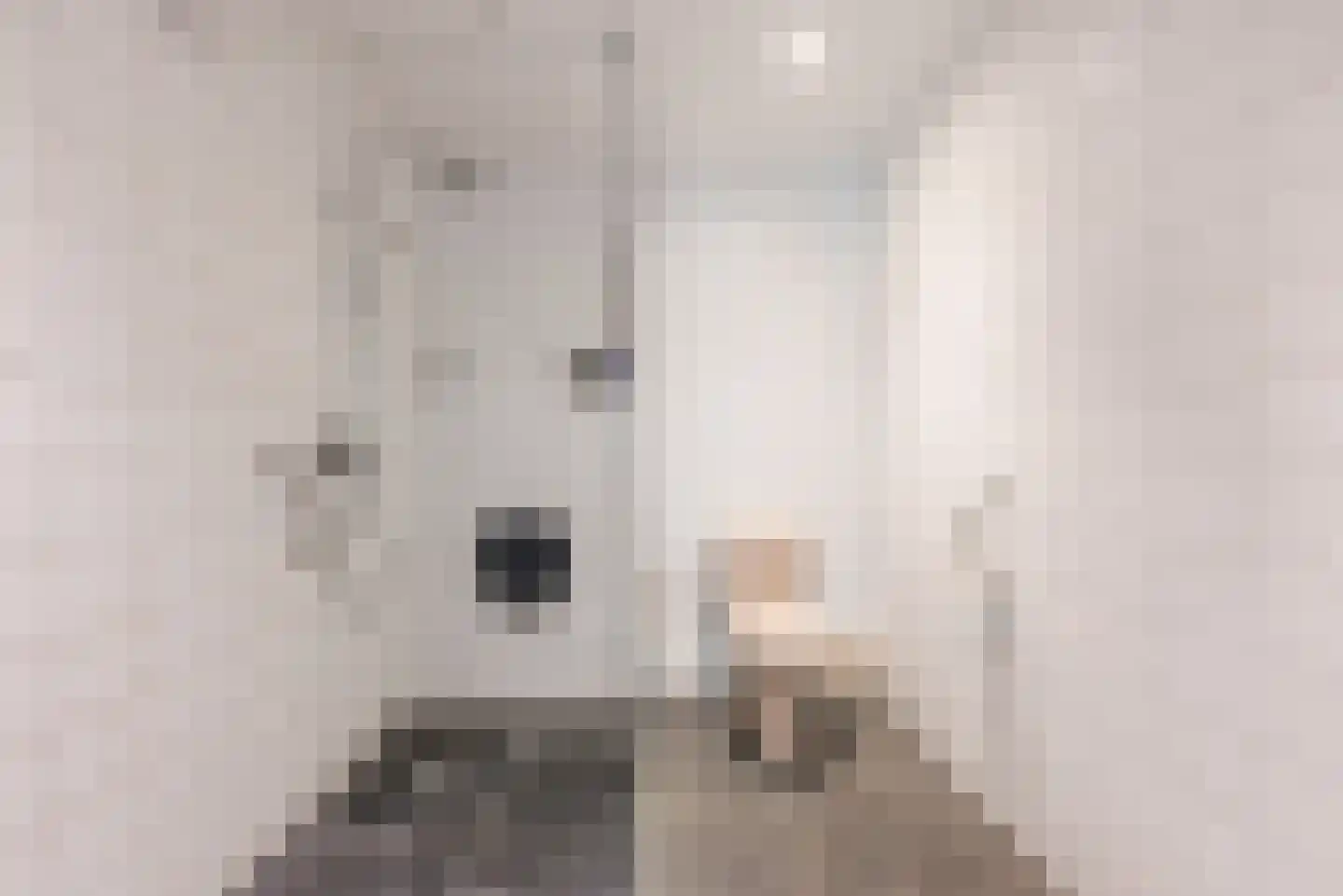Eindhovenseweg 4 Geldrop thumbnail 23