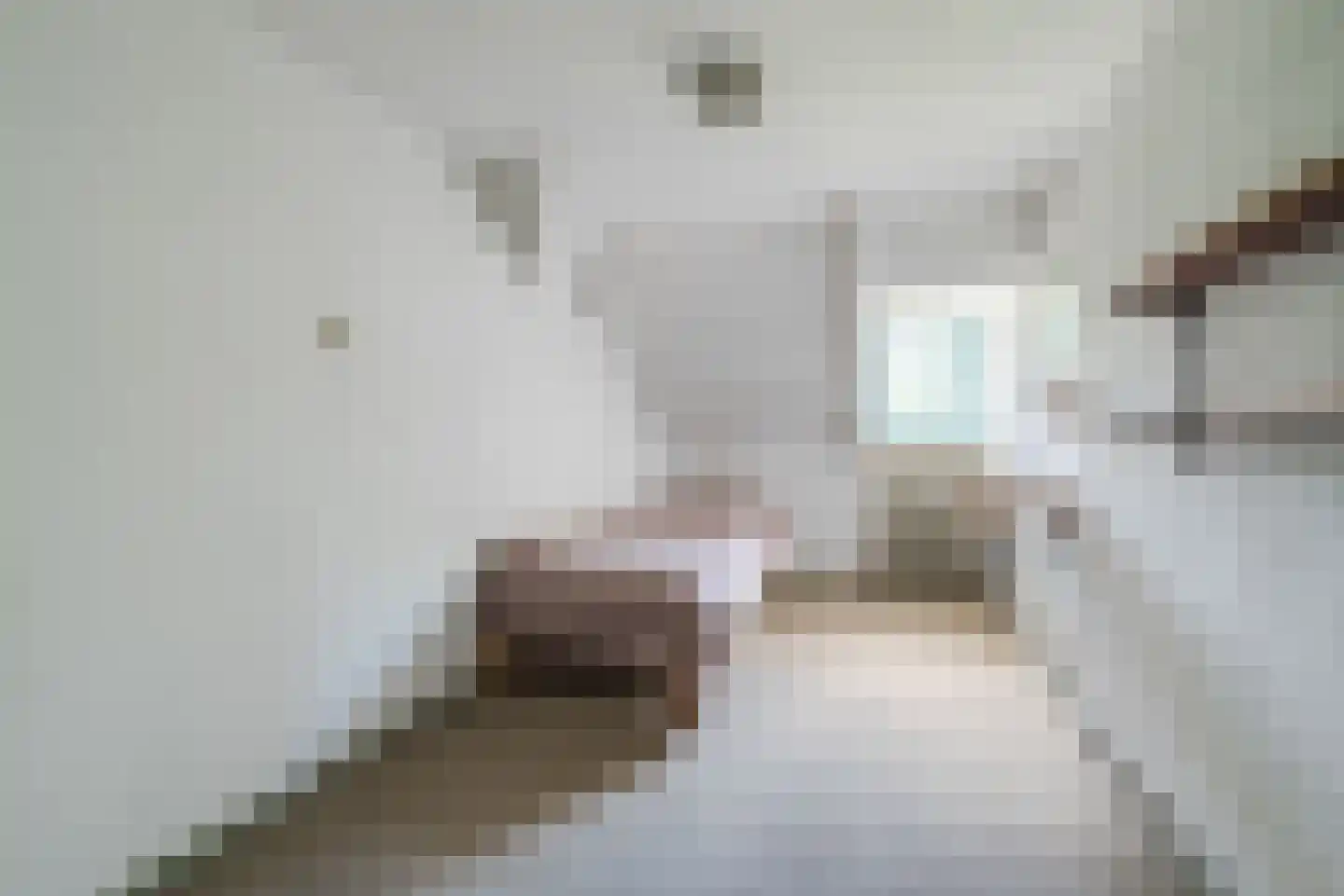 Eindhovenseweg 4 Geldrop thumbnail 25