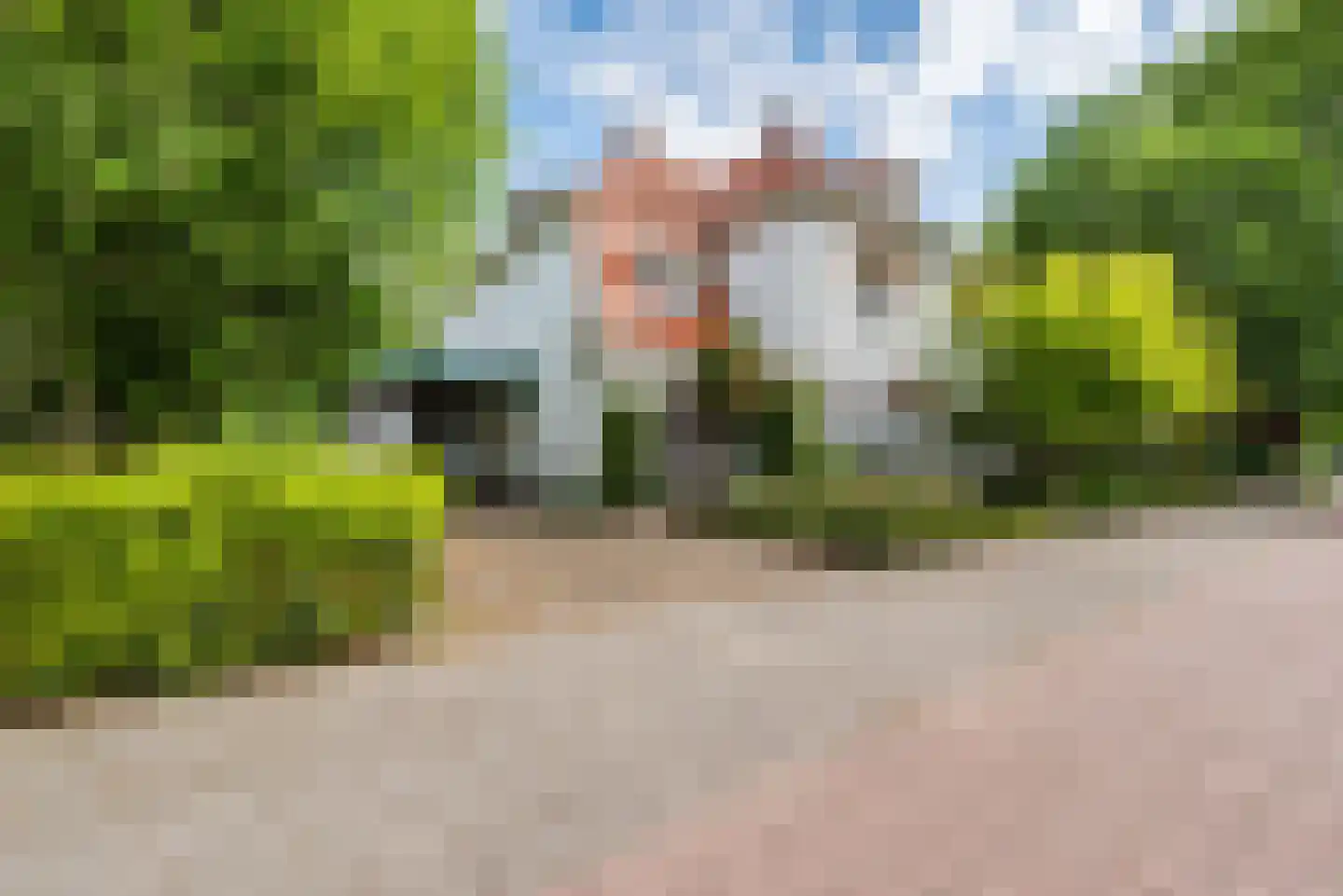Eindhovenseweg 4 Geldrop thumbnail 5