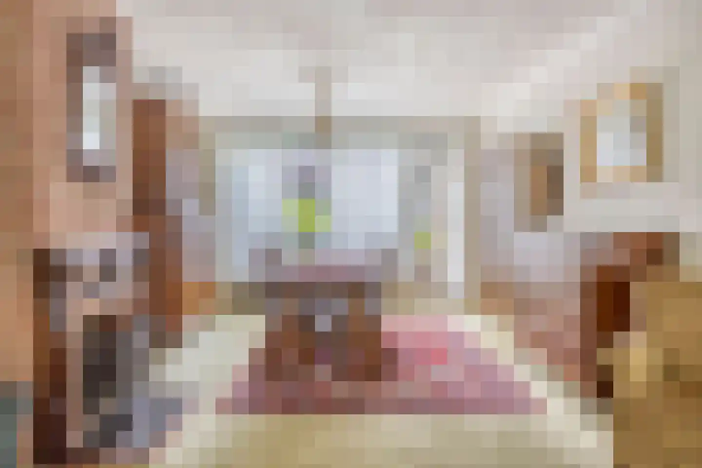 Eindhovenseweg 46 Best thumbnail 13