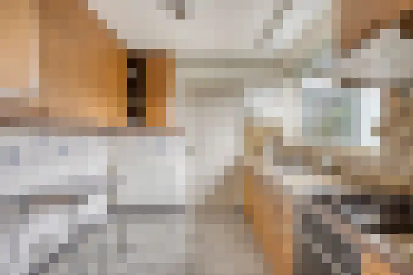 Eindhovenseweg 46 Best thumbnail 18