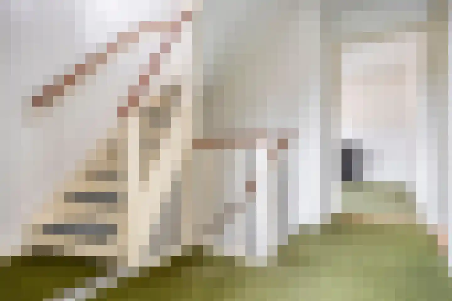 Eindhovenseweg 46 Best thumbnail 22