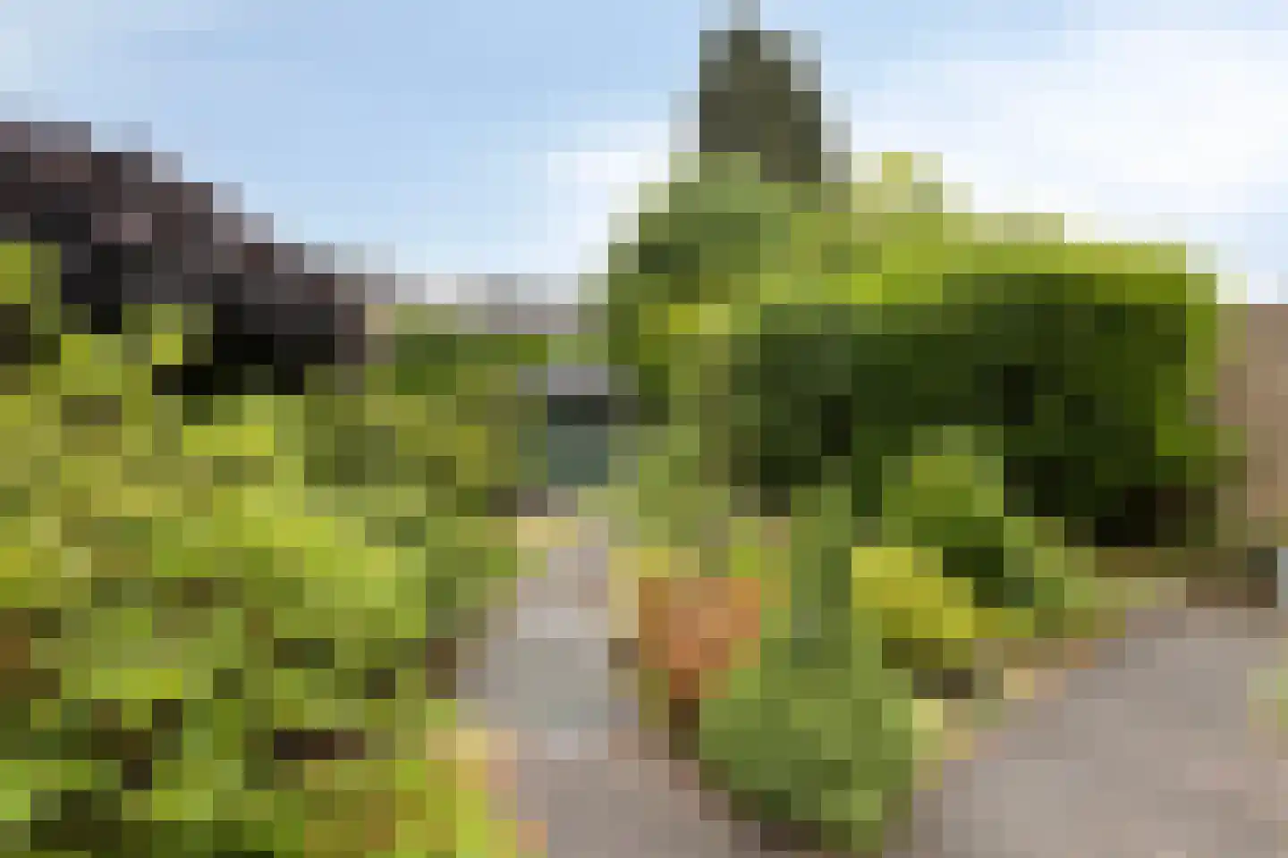 Eindhovenseweg 46 Best thumbnail 39