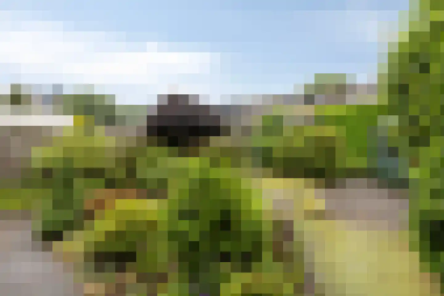 Eindhovenseweg 46 Best thumbnail 4
