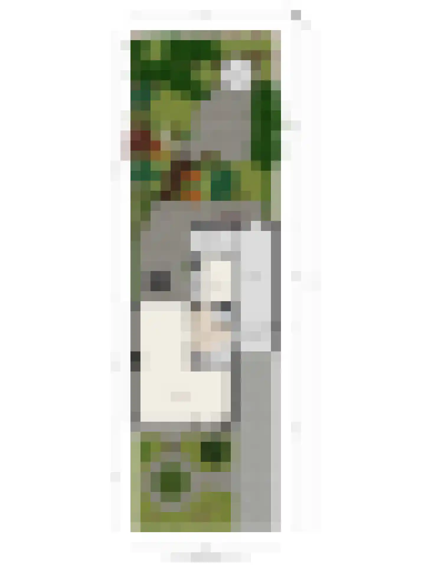 Eindhovenseweg 46 Best thumbnail 42