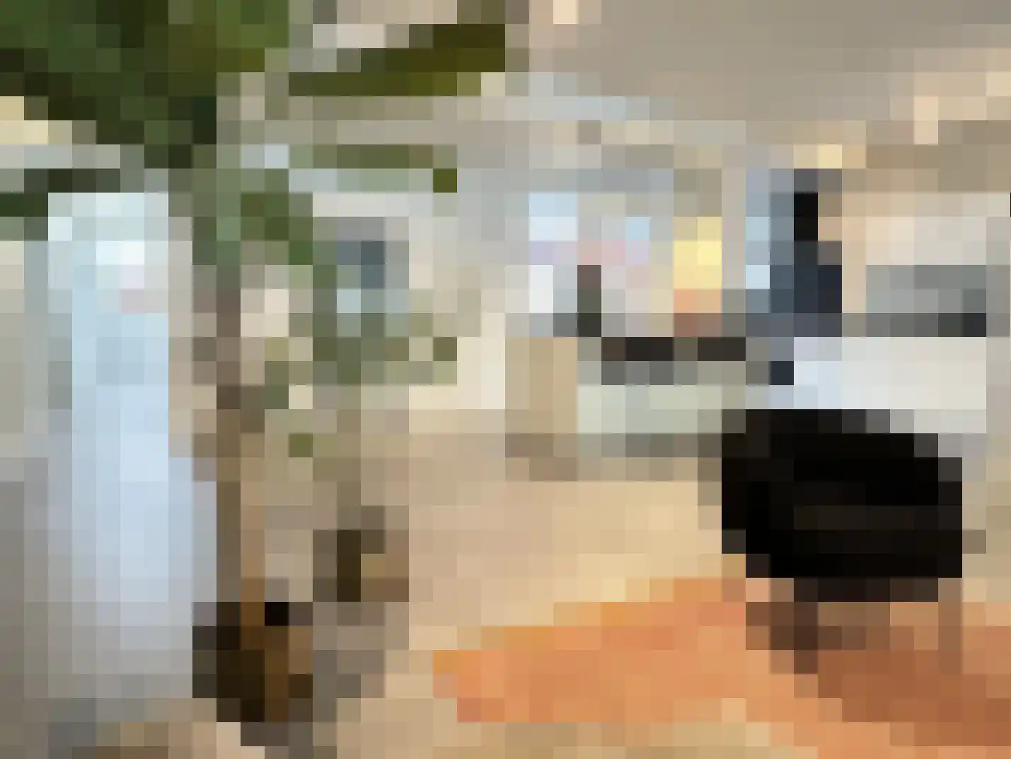 Eindhovenseweg 50 Valkenswaard thumbnail 10