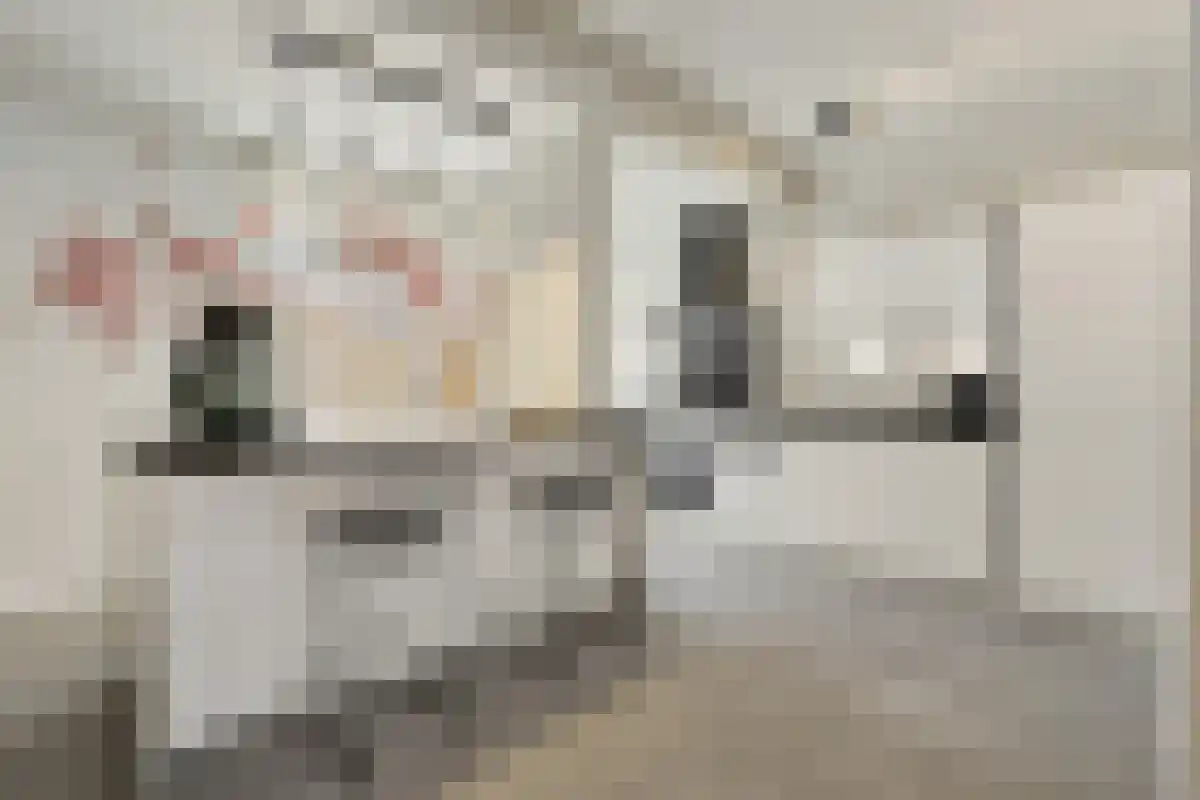 Eindhovenseweg 50 Valkenswaard thumbnail 6