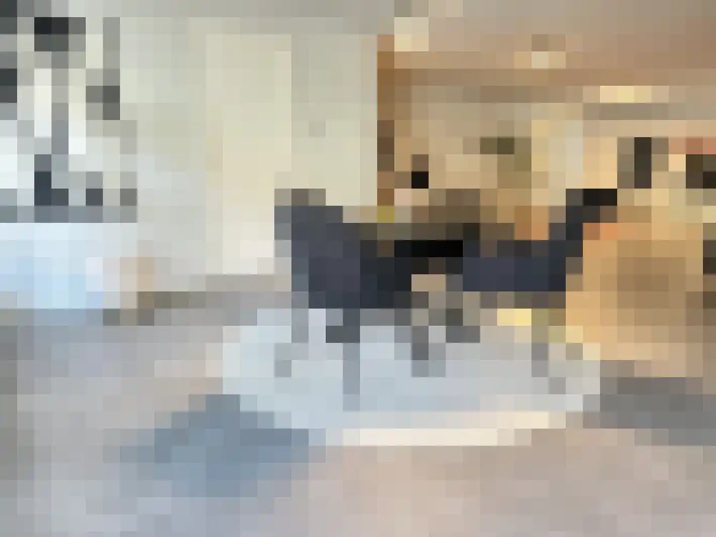 Eindhovenseweg 50 Valkenswaard thumbnail 8