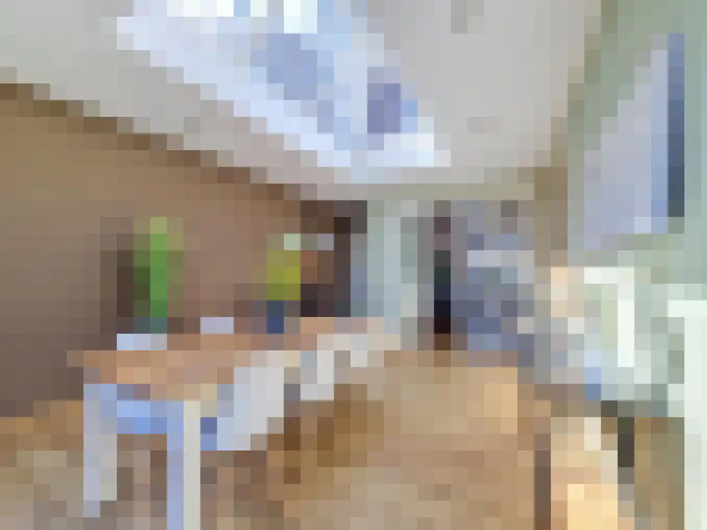 Eindhovenseweg 58 Waalre thumbnail 8