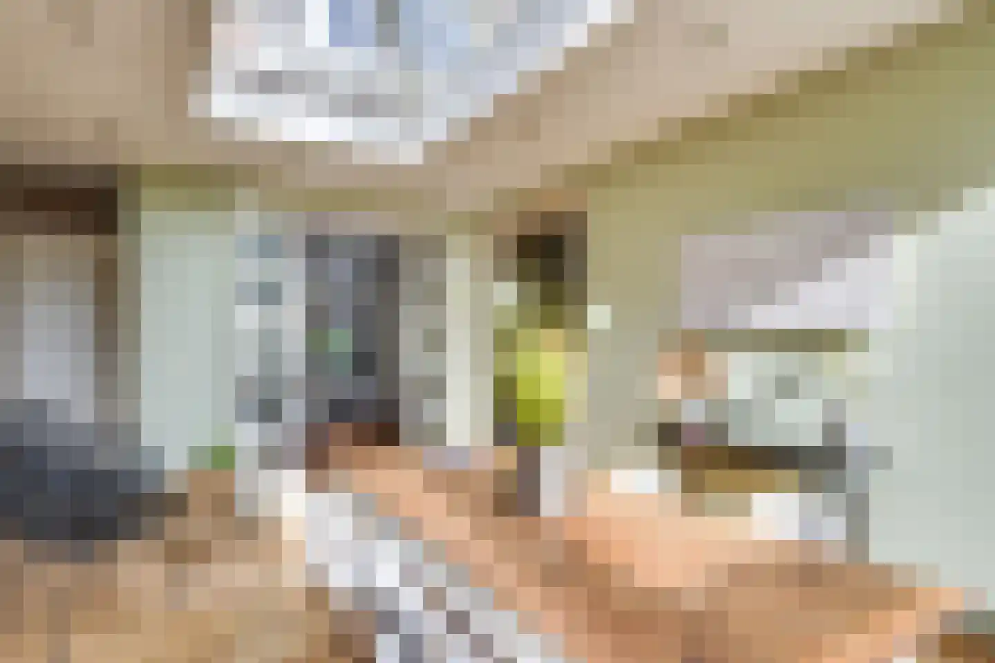 Eindhovenseweg 58 Waalre thumbnail 9