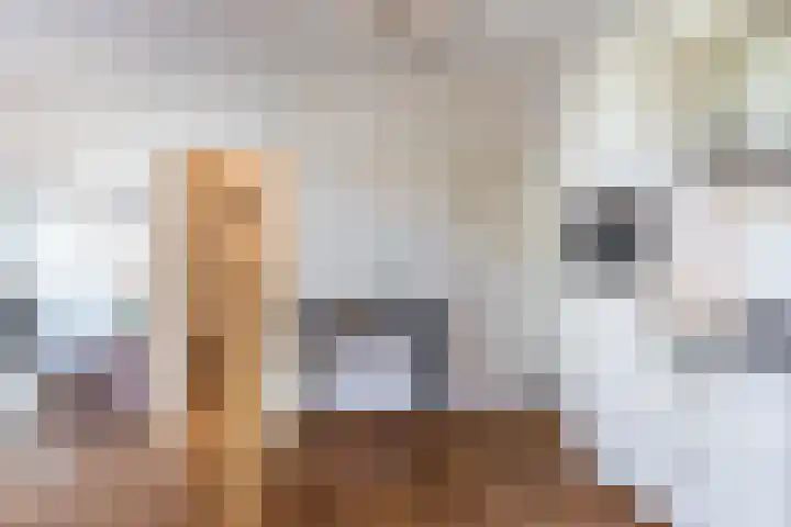 Eindhovenseweg 61 Geldrop thumbnail 12