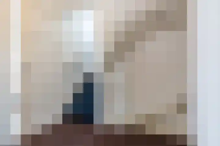 Eindhovenseweg 61 Geldrop thumbnail 14