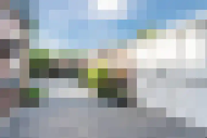 Eindhovenseweg 61 Geldrop thumbnail 27
