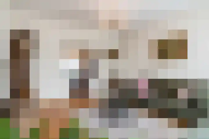 Eindhovenseweg 61 Geldrop thumbnail 7