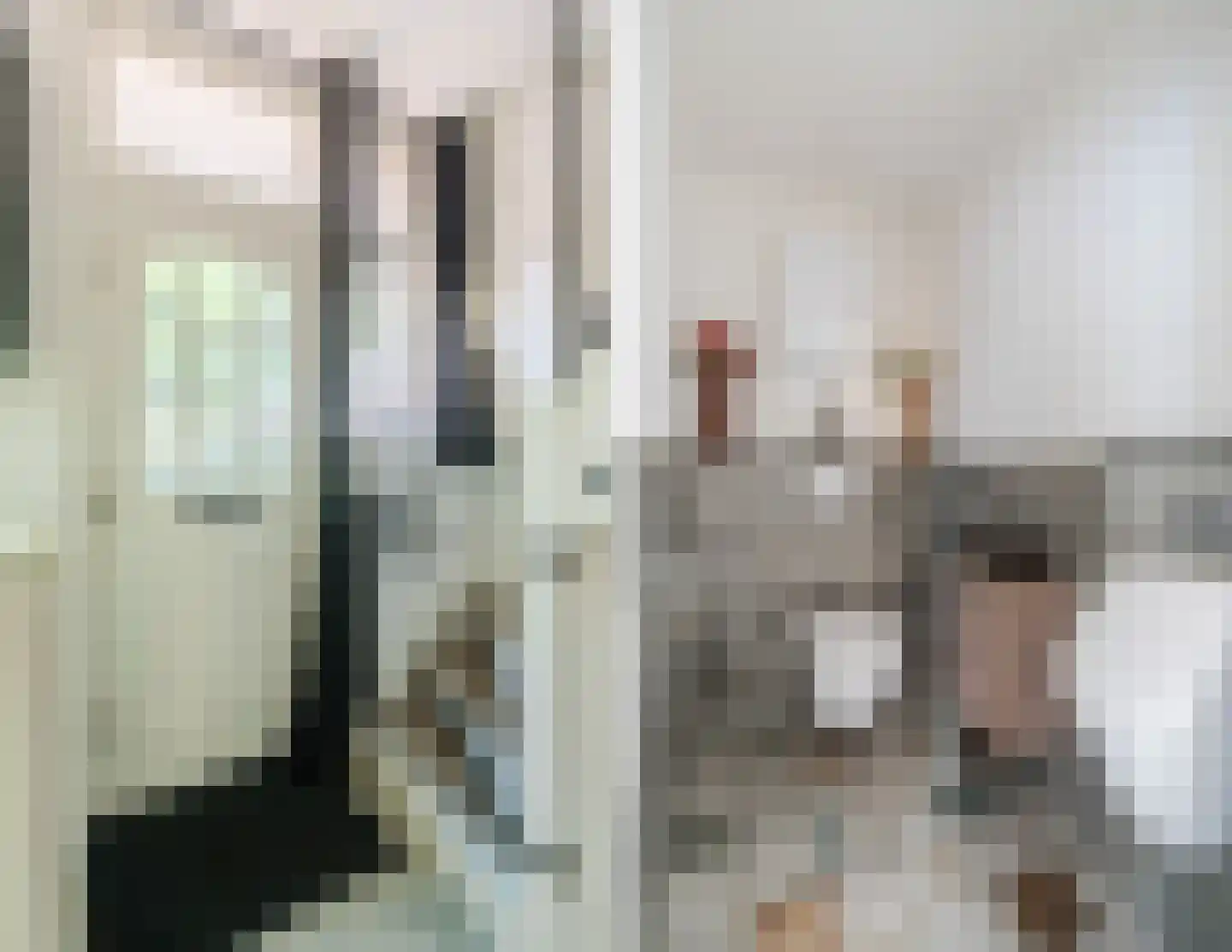 Eindhovenseweg 69 Geldrop thumbnail 10