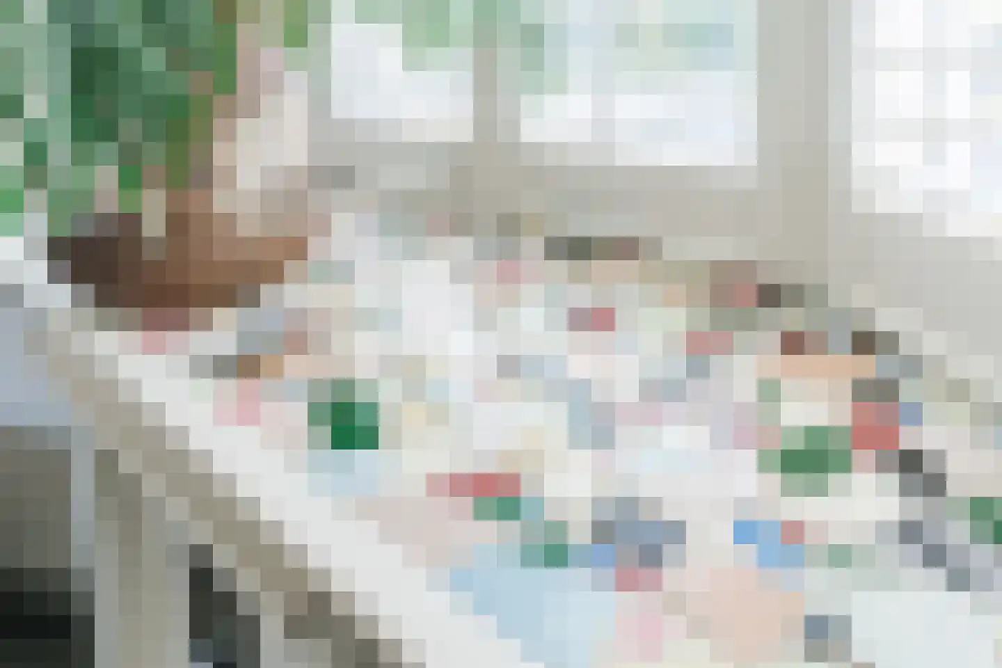 Eindhovenseweg 69 Geldrop thumbnail 15