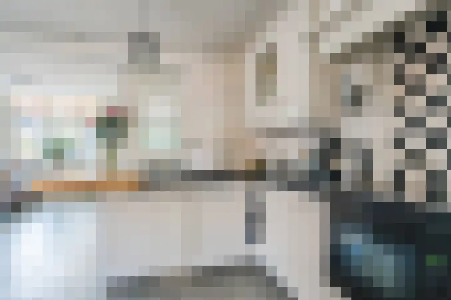 Eindhovenseweg 69 Geldrop thumbnail 22