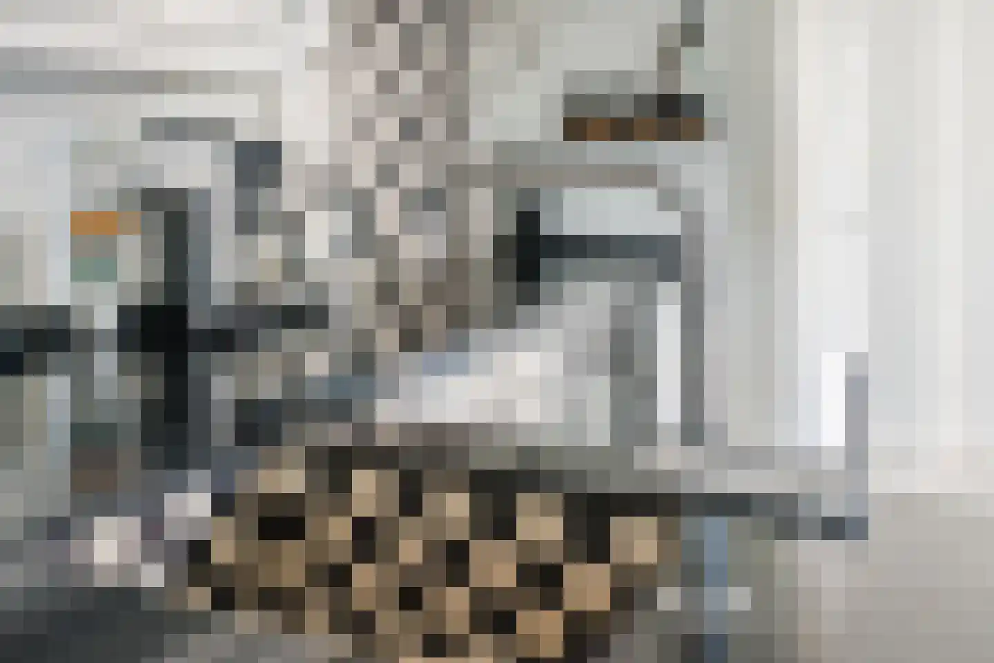 Eindhovenseweg 69 Geldrop thumbnail 24