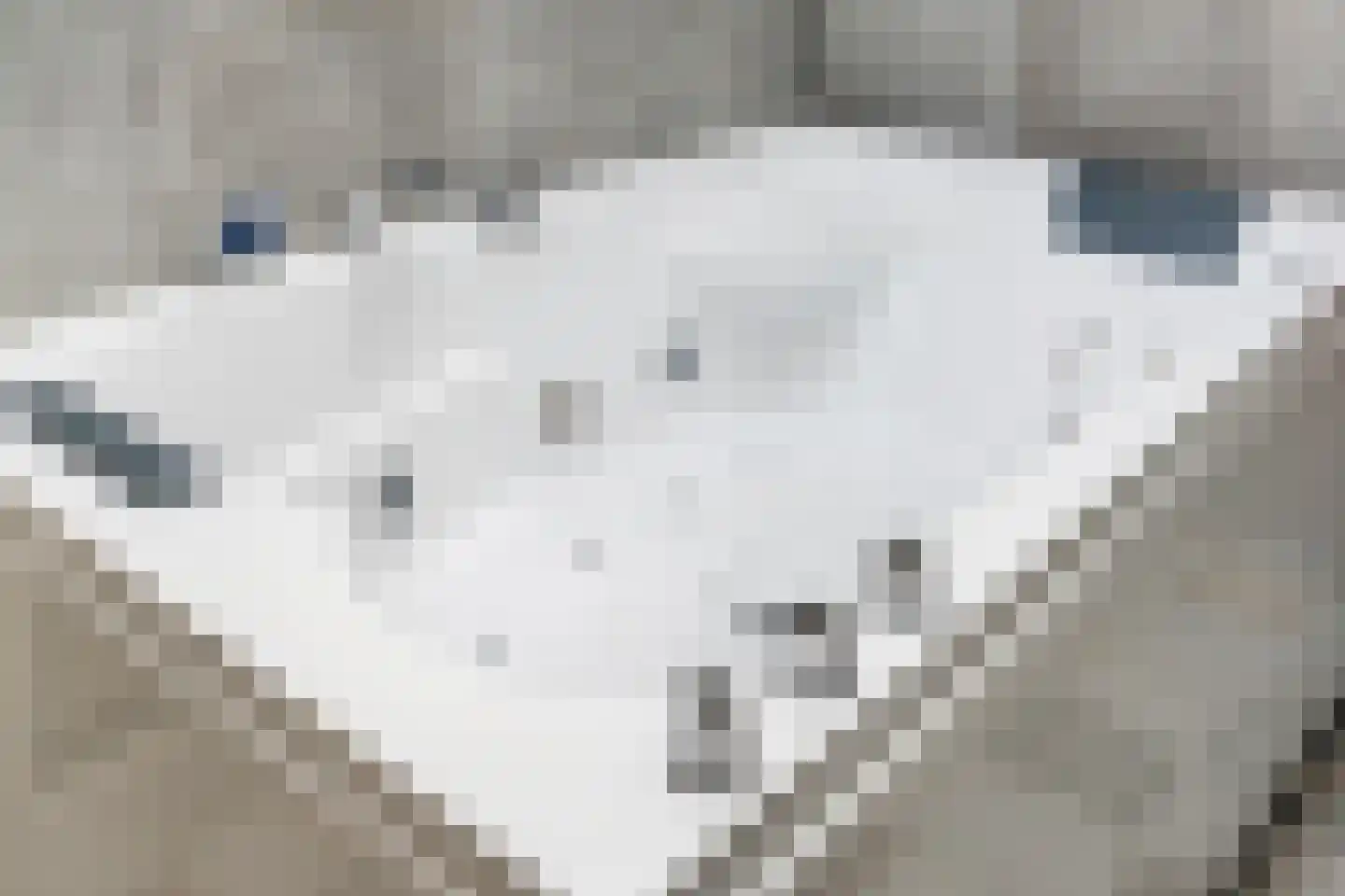 Eindhovenseweg 69 Geldrop thumbnail 28