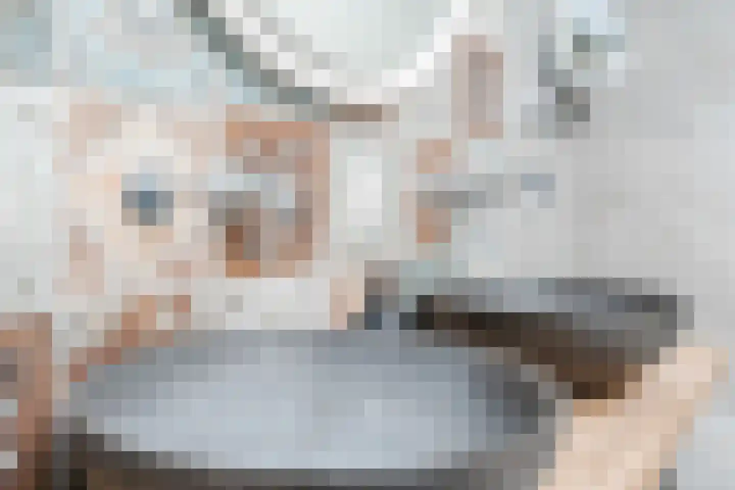 Eindhovenseweg 69 Geldrop thumbnail 29