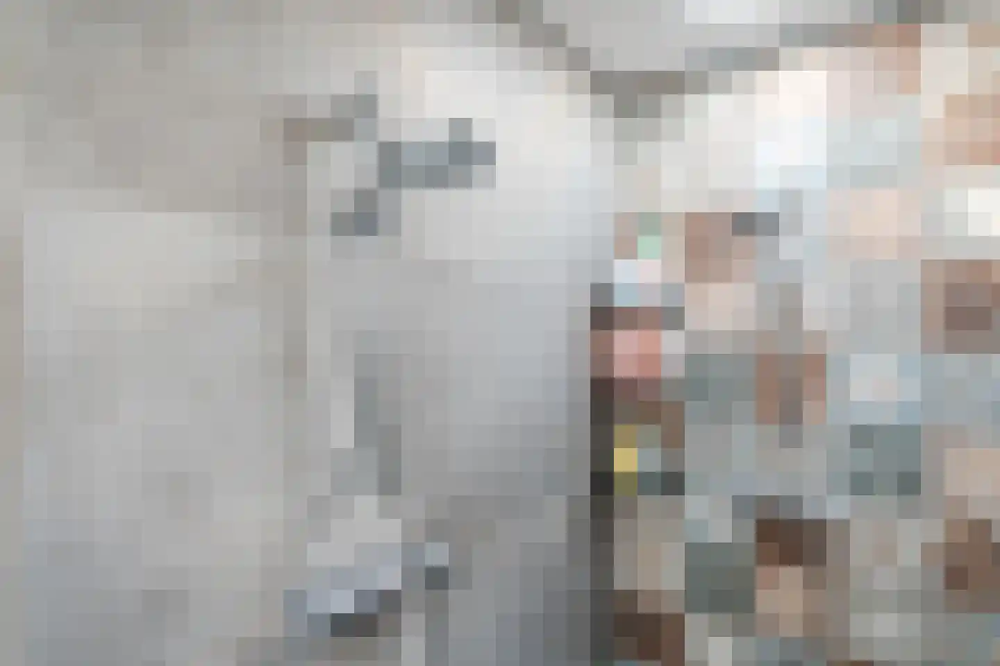 Eindhovenseweg 69 Geldrop thumbnail 30