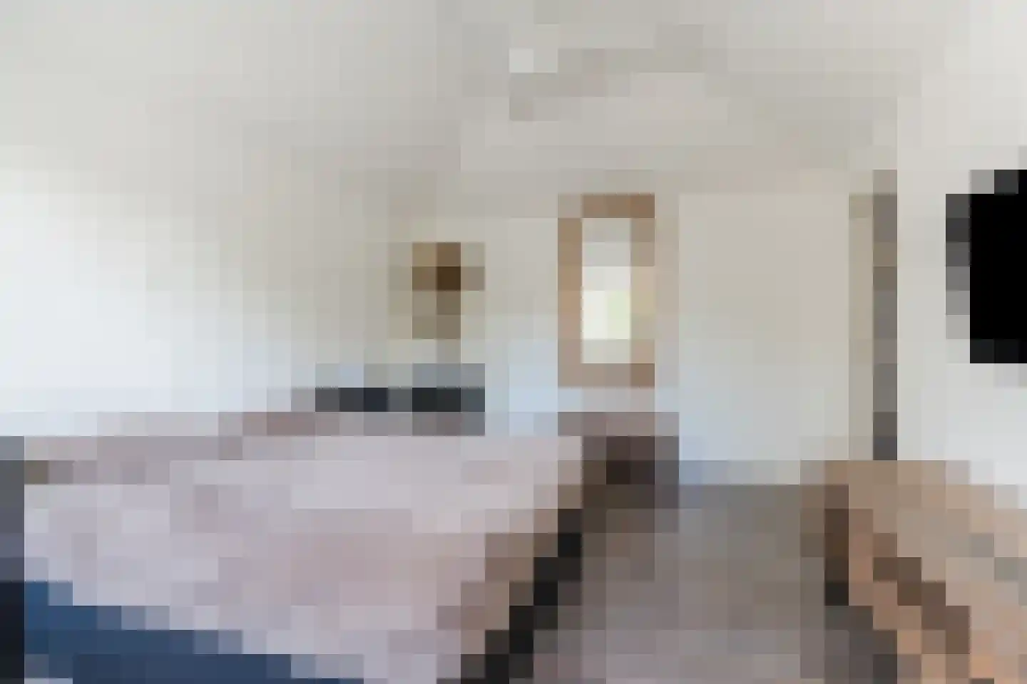 Eindhovenseweg 69 Geldrop thumbnail 36