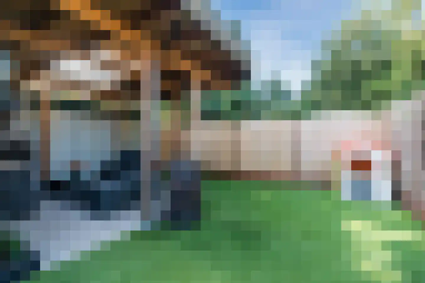 Eindhovenseweg 69 Geldrop thumbnail 44