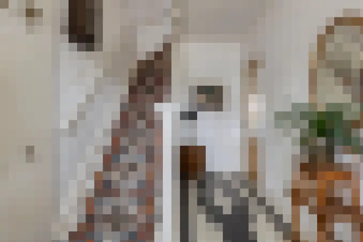 Eindhovenseweg 73 Geldrop thumbnail 12