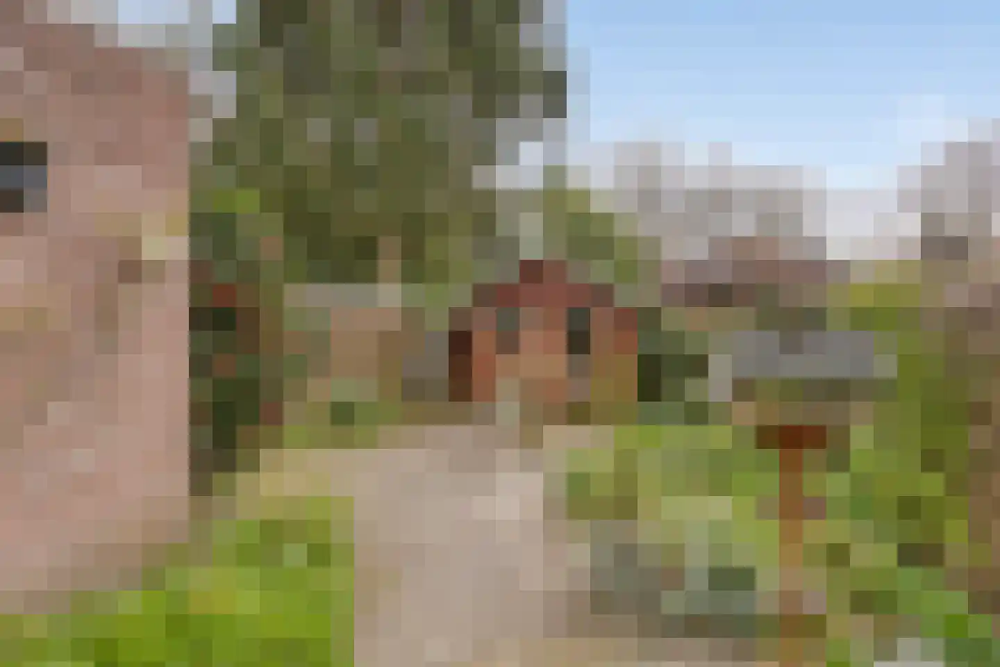 Eindhovenseweg 73 Geldrop thumbnail 38