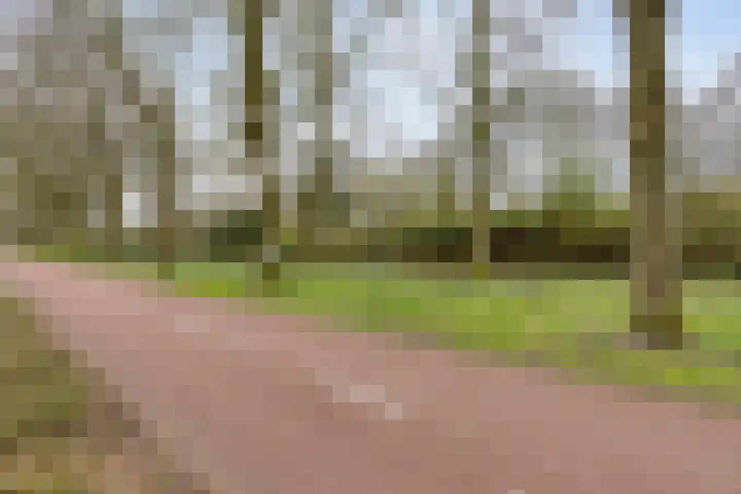 Eindhovenseweg 73 Geldrop thumbnail 45