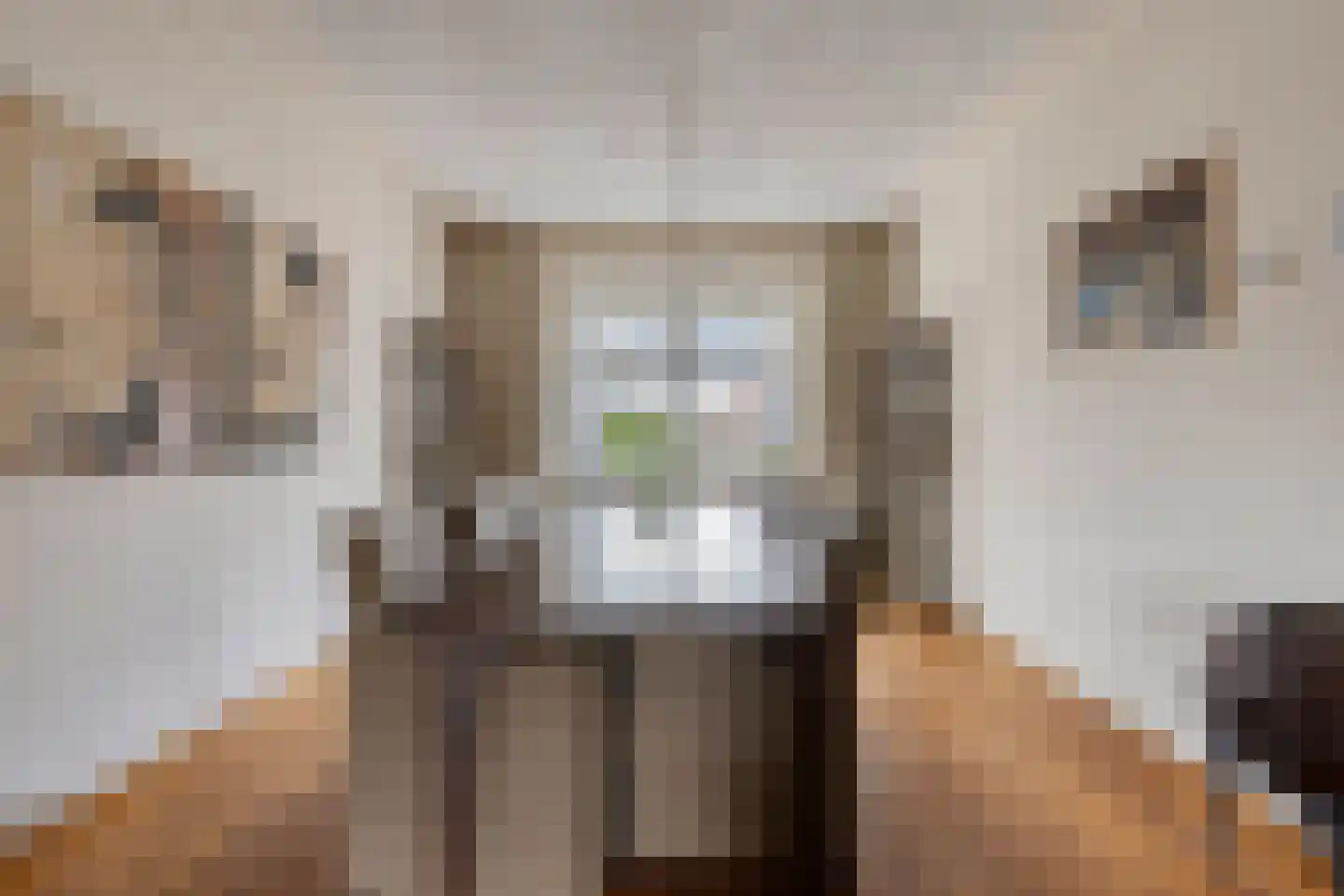 Eindhovenseweg 73 Geldrop thumbnail 8